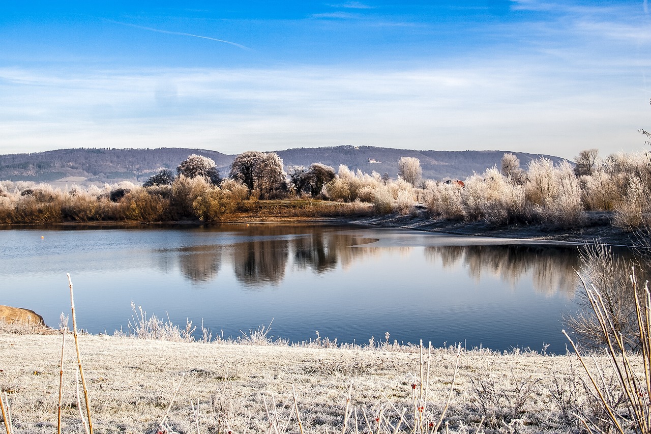 沂源禽流感最新動態與情況分析