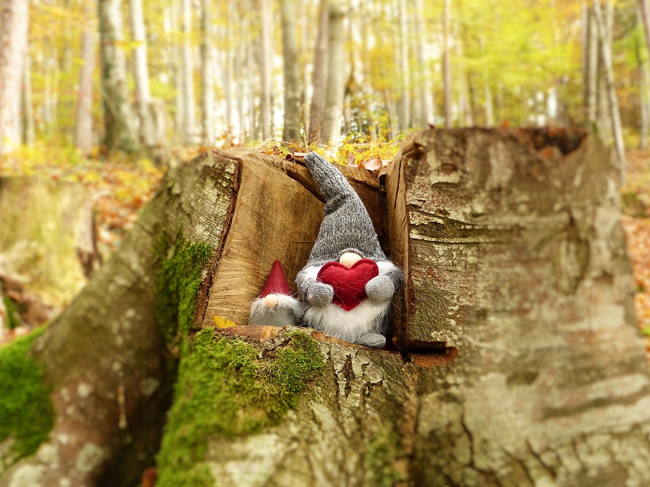 小螞蟻的奇妙冒險之旅，最新幼兒故事精選