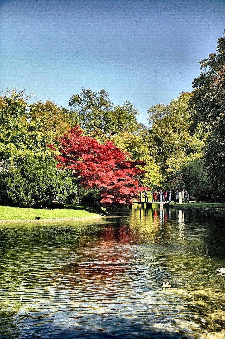 老余杭南湖最新動態,城市發展與綠色生態的和諧共舞