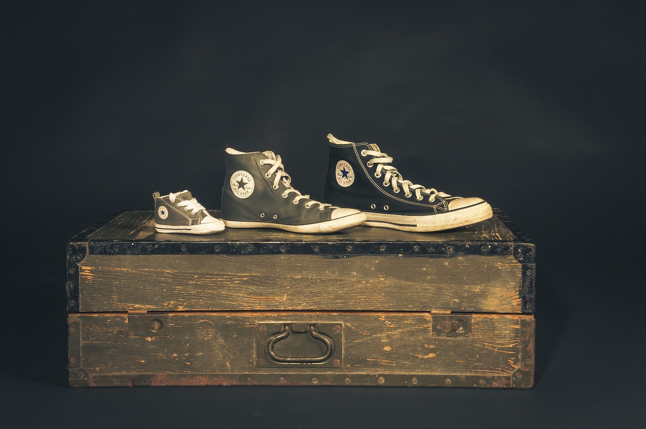 泰達青筑最新價格動態及解析