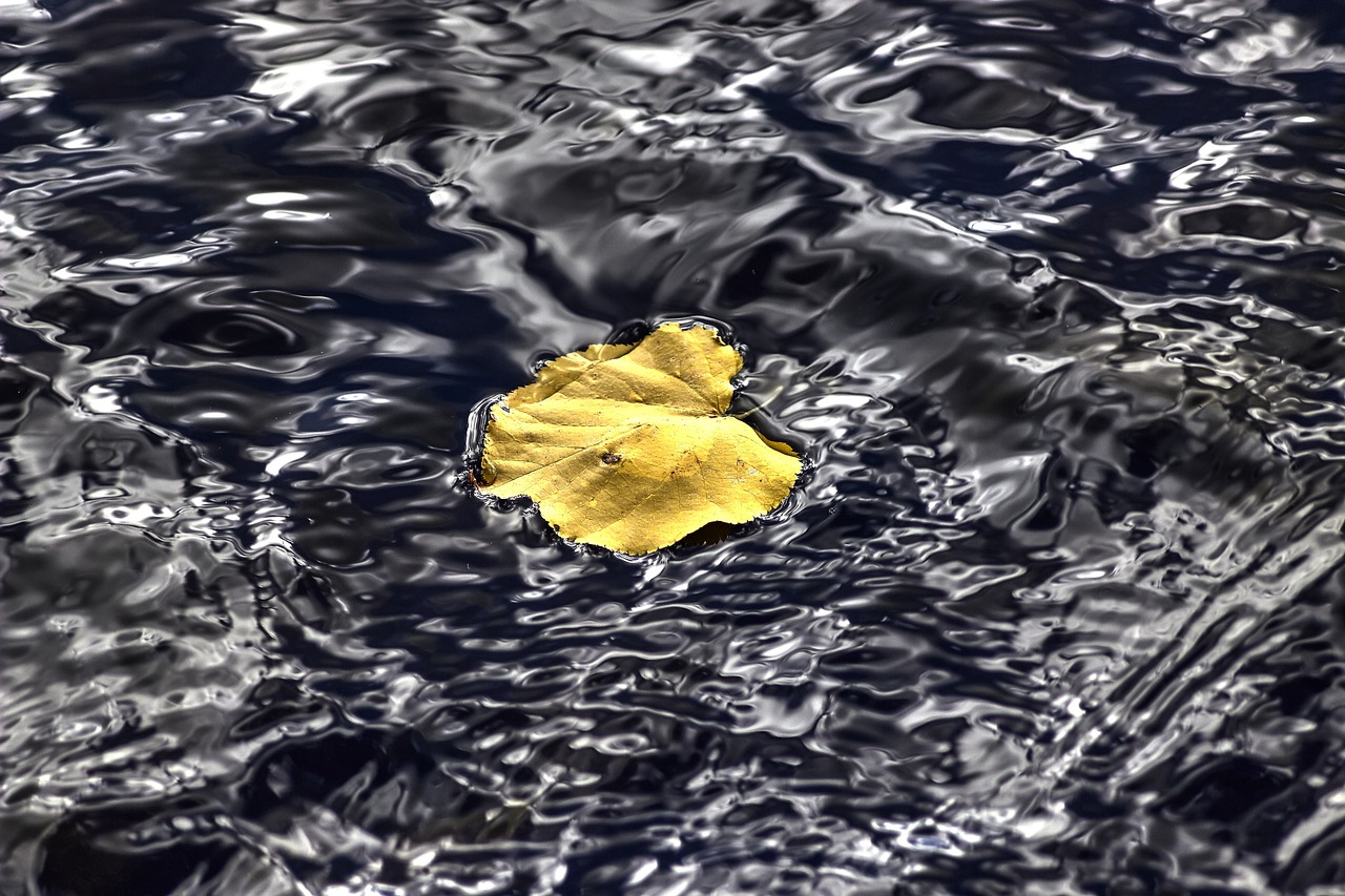 鳳臺最新人事任免動(dòng)態(tài)公布