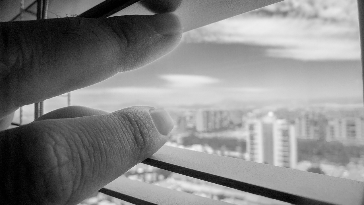 蕭縣最新樓盤房價動態及分析