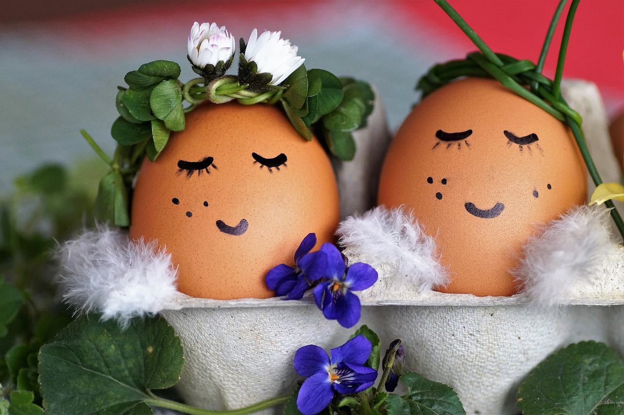 蛋寶寶最新版,探索與體驗的樂趣