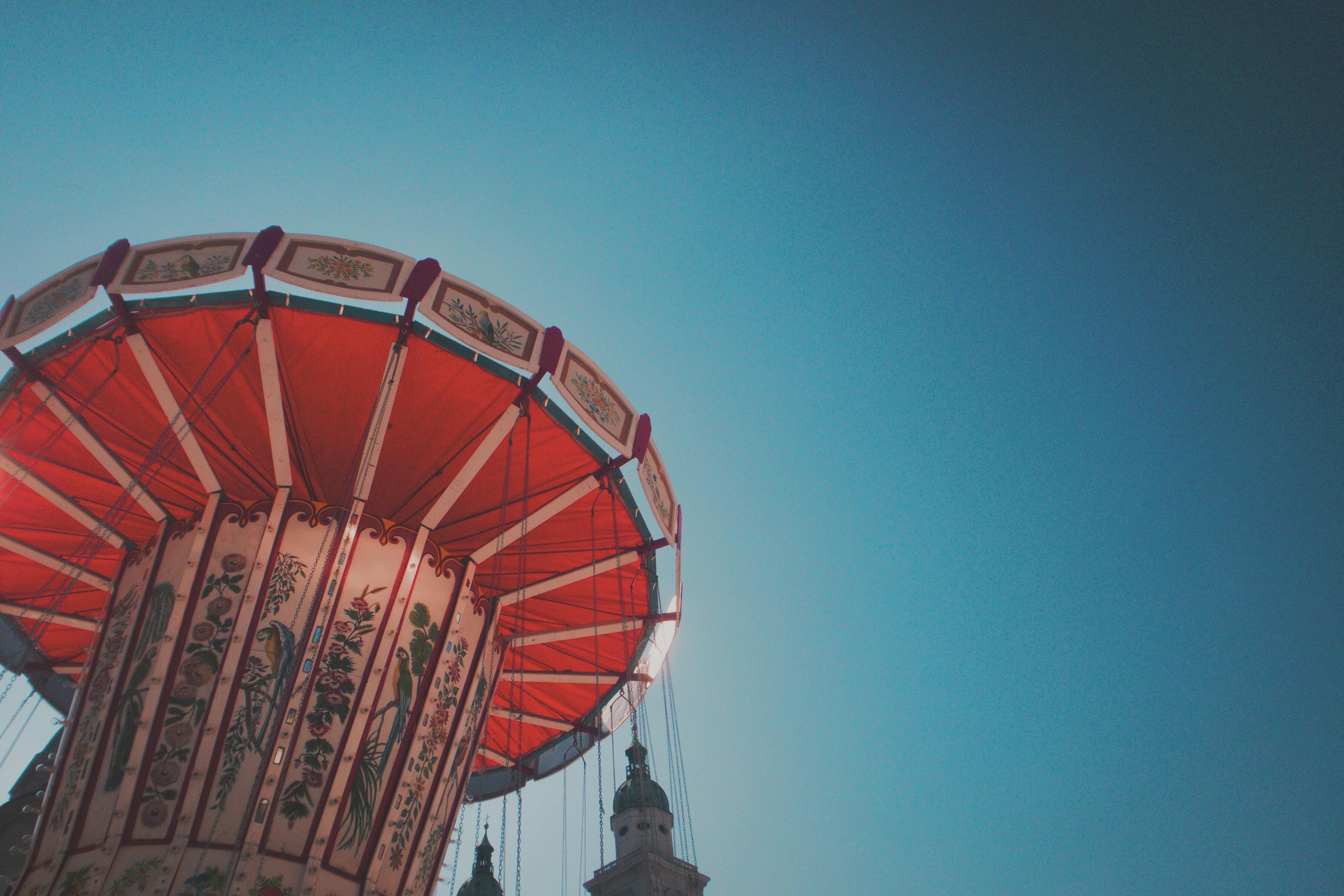 山東蒙陰兔毛最新價格動態分析與趨勢預測