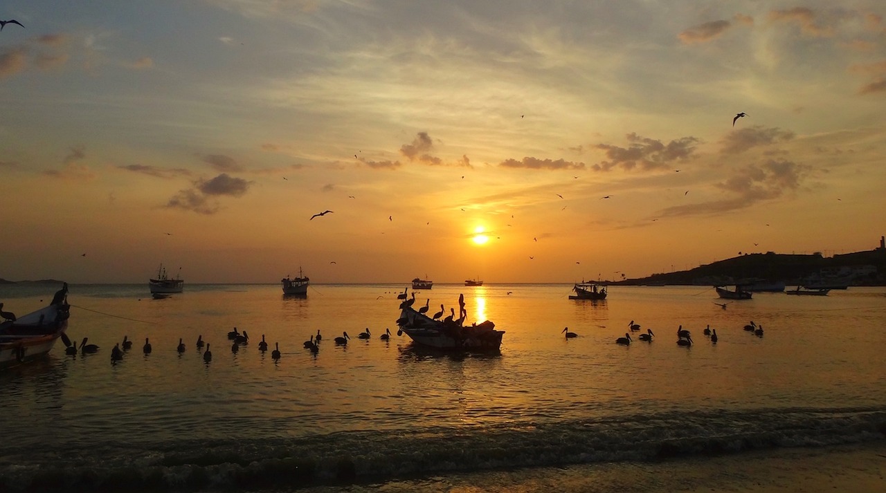 全球大豆市場動態深度解析,聚焦美豆最新消息