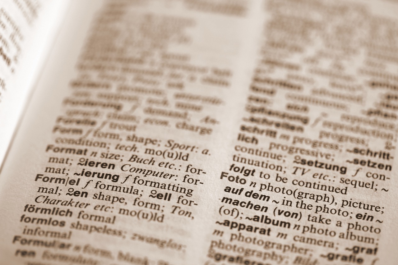 新澳天天開獎免費資料,數據實證深度剖析_攝影篇14.54.84