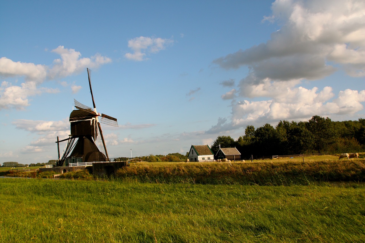 武昌古城改造最新動態，重塑歷史風貌，煥發新城活力