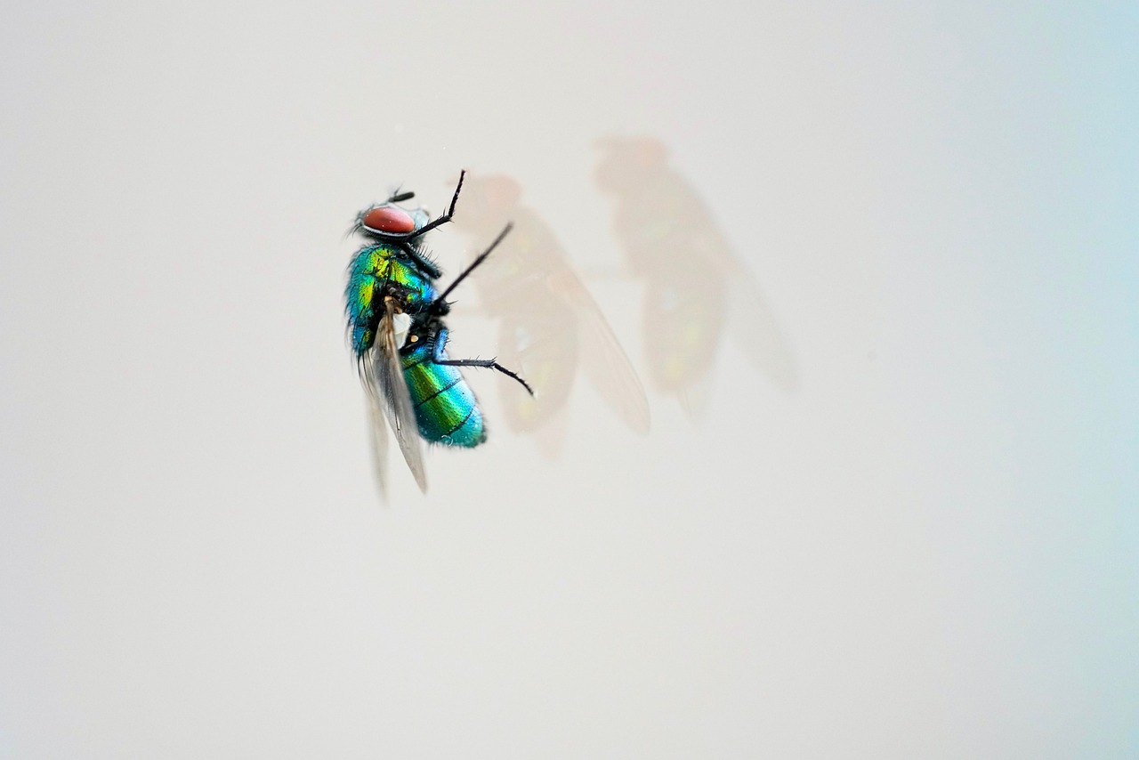 孤行者 第31頁(yè)