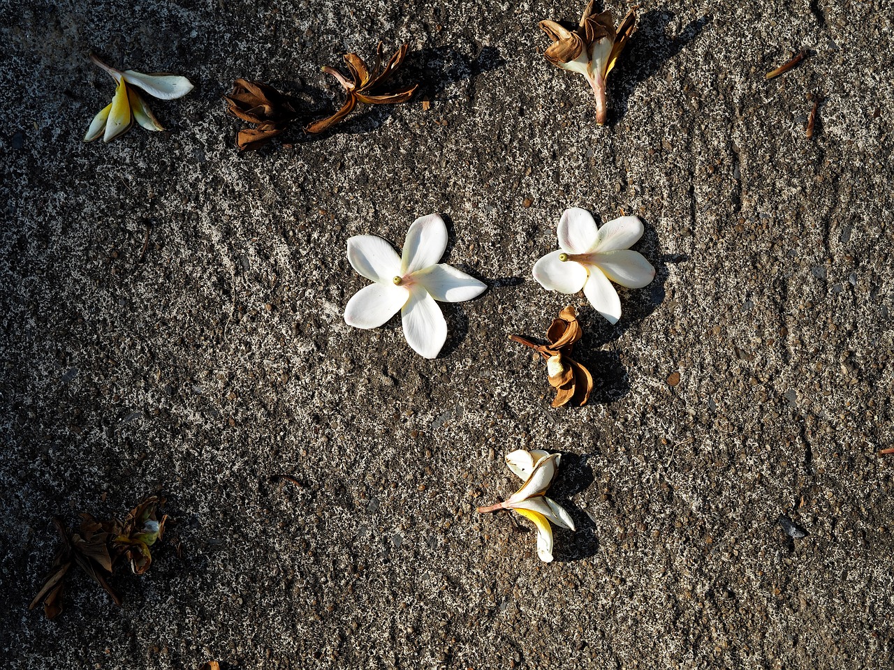 靖江并入無錫的最新動態或消息更新