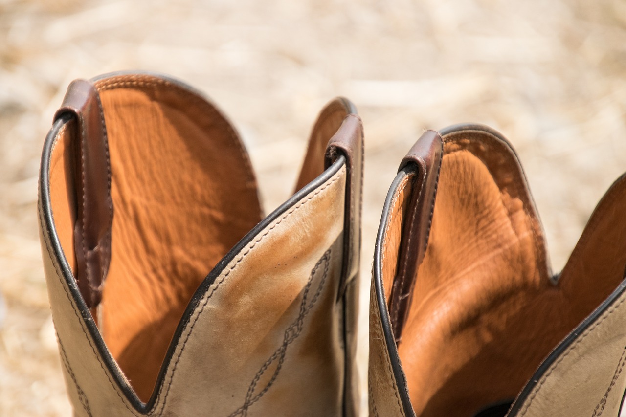 師天軍最新消息全面解析與動態更新