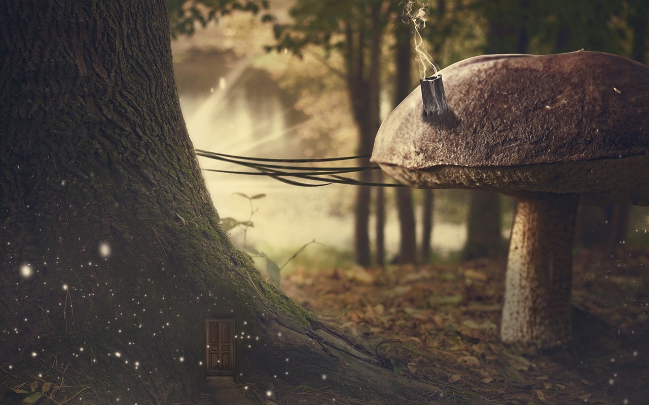 城管改革最新動態，重塑城市管理新面貌