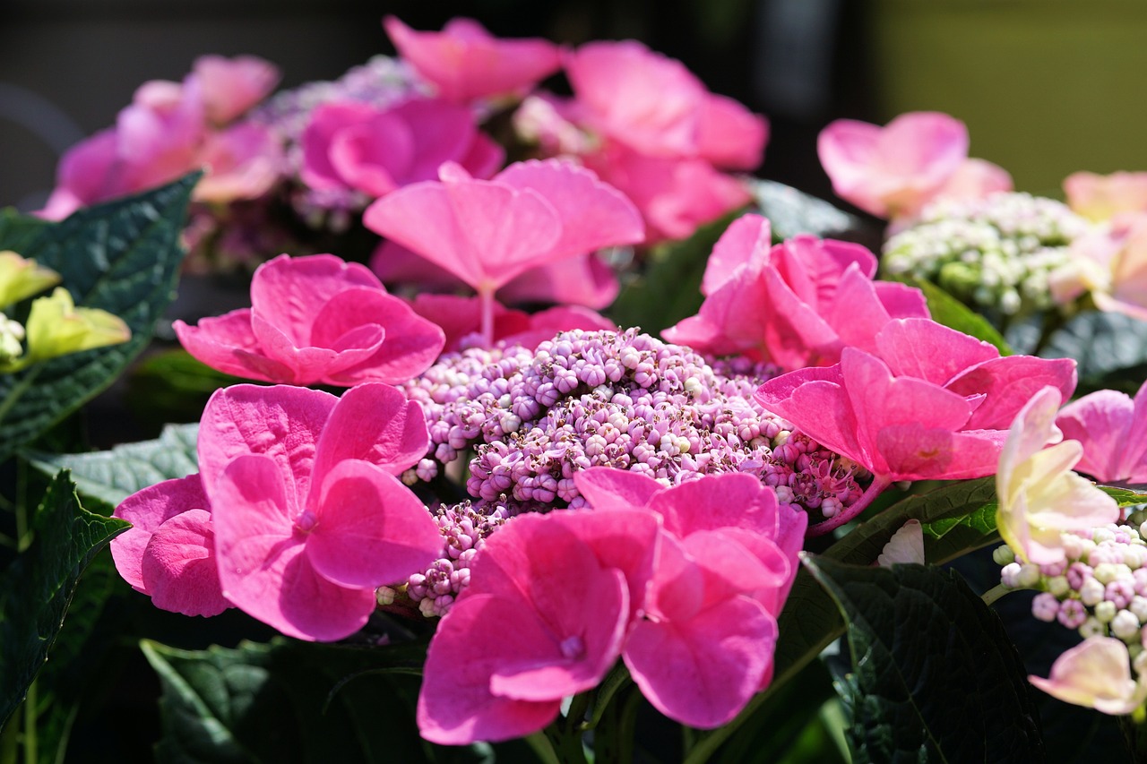 愛你一生,情感的綻放與承諾的延續 最新章節