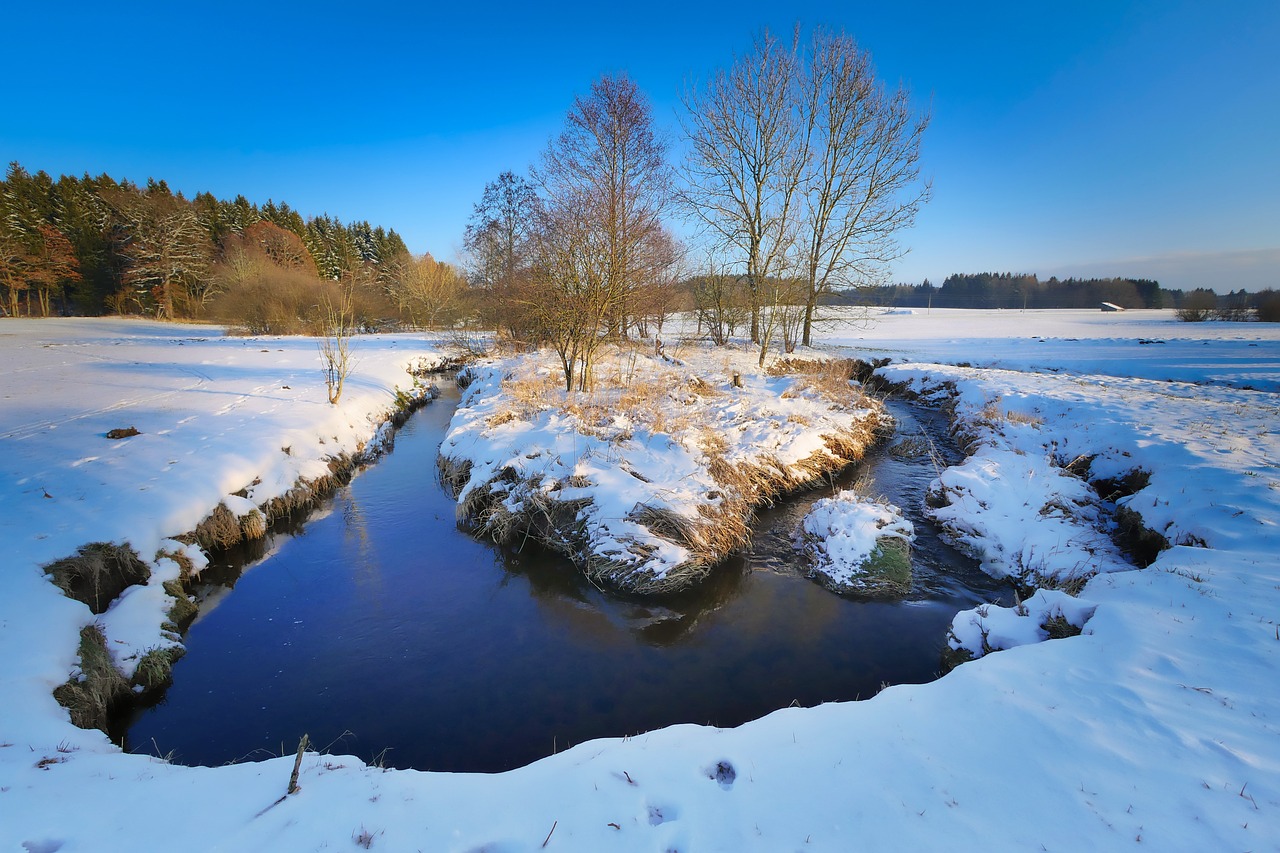 中山市最新招標工程概覽與動態更新