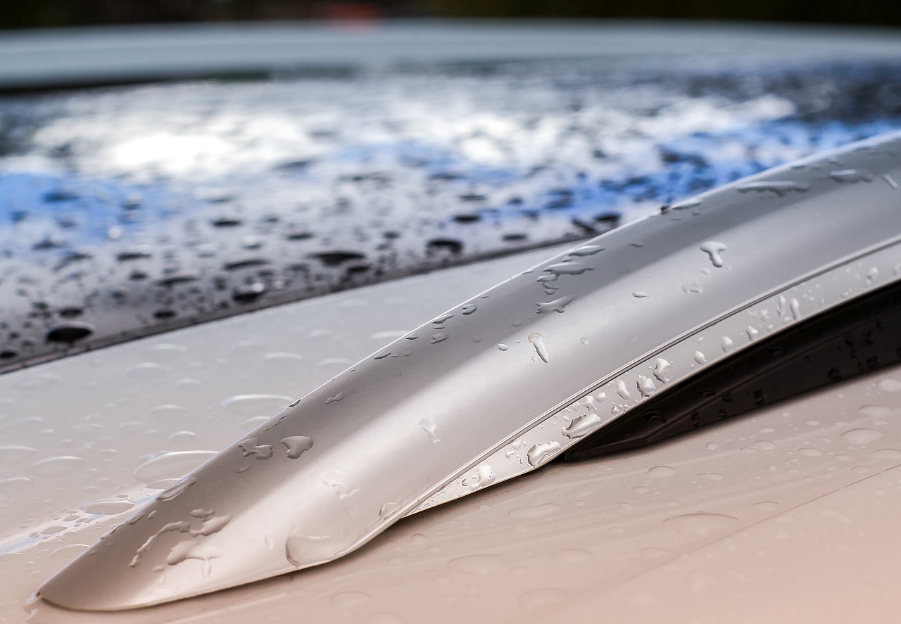 2024年11月 第18頁