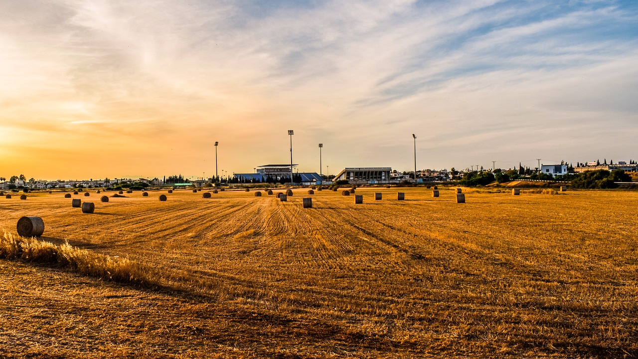 河南養老金上調最新動態，改革穩步前行，福利政策持續優化