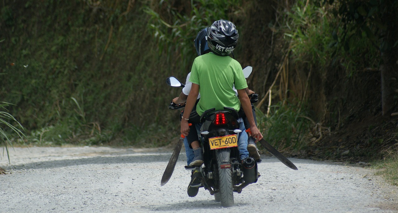 長春百國興隆寺最新動態揭秘,最新消息詳解