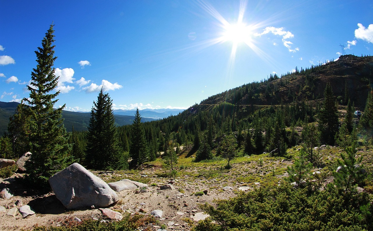 滕州市二手房最新信息概覽及市場(chǎng)動(dòng)態(tài)分析