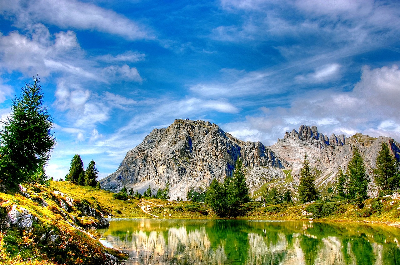 石家莊新增一例疫情,防控措施升級,最新動態與消息更新