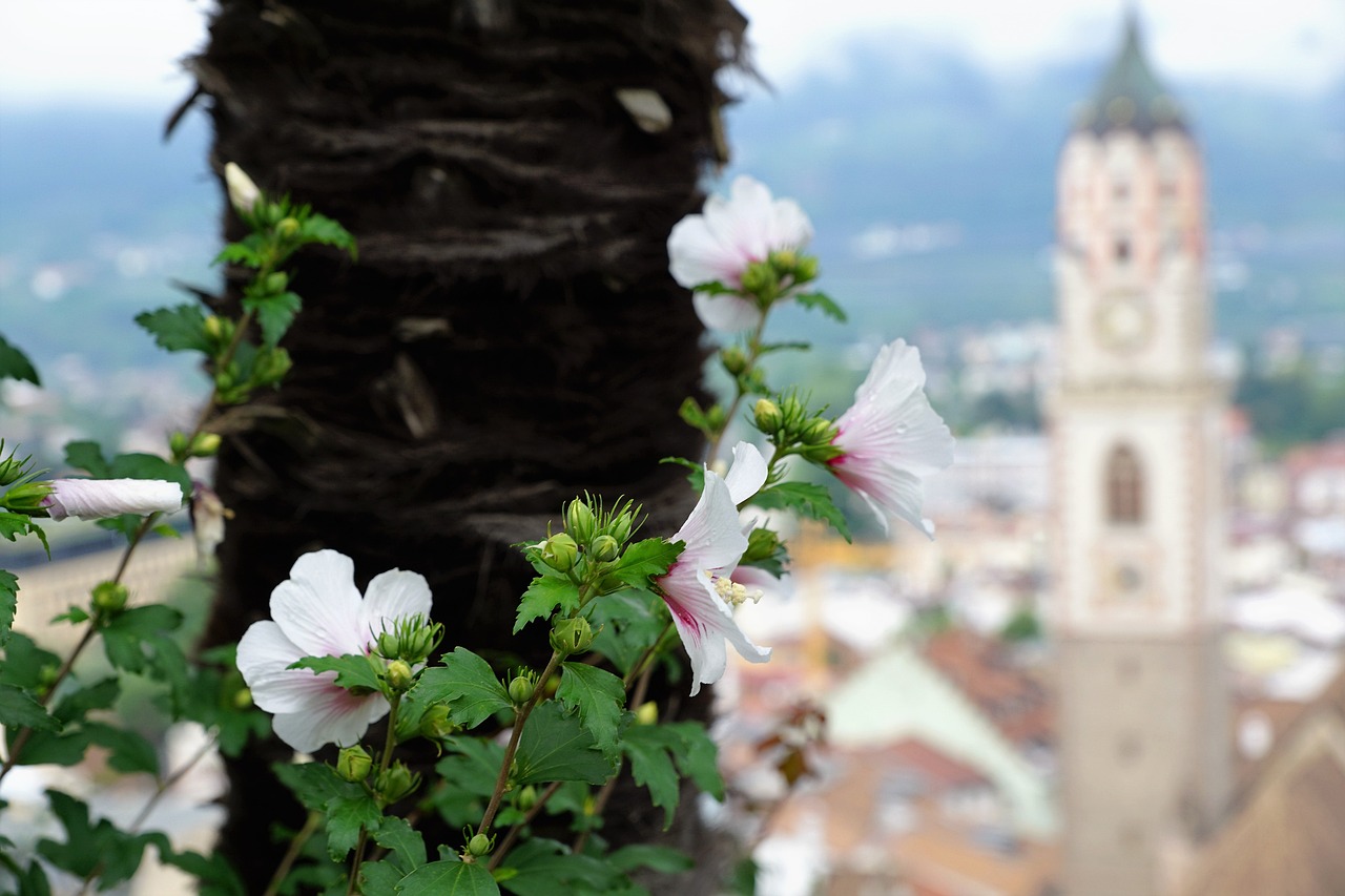 KDW最新動態引領科技創新,塑造未來藍圖展望