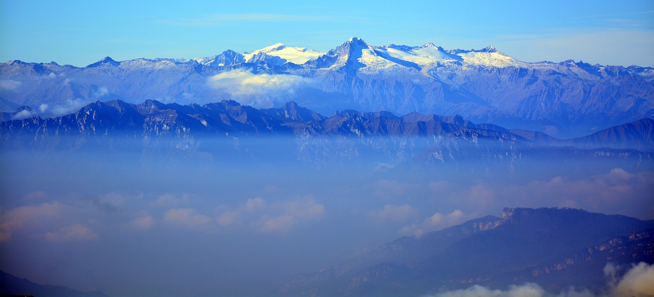 秋鳥遷徙,自然的樂章與魅力展現