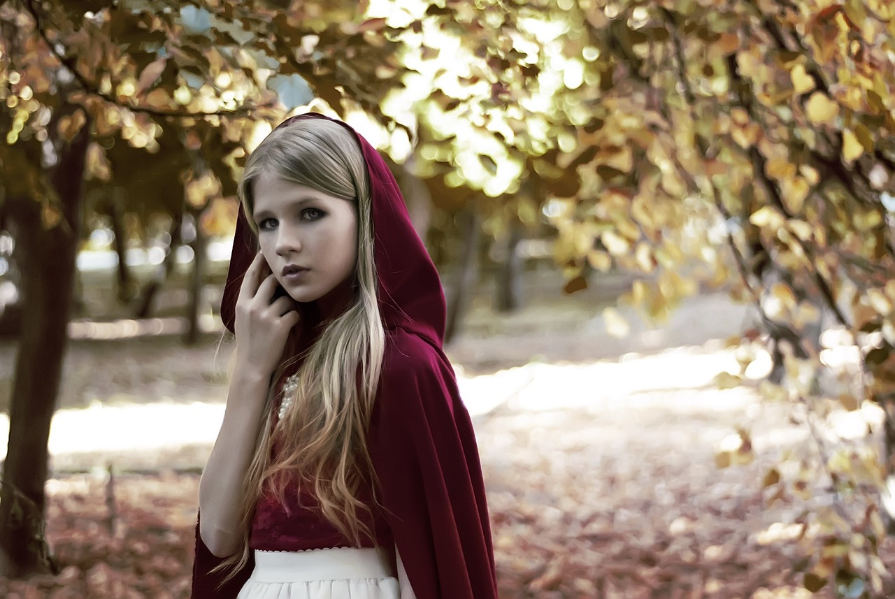 金最新韓劇，璀璨星光下的故事傳奇