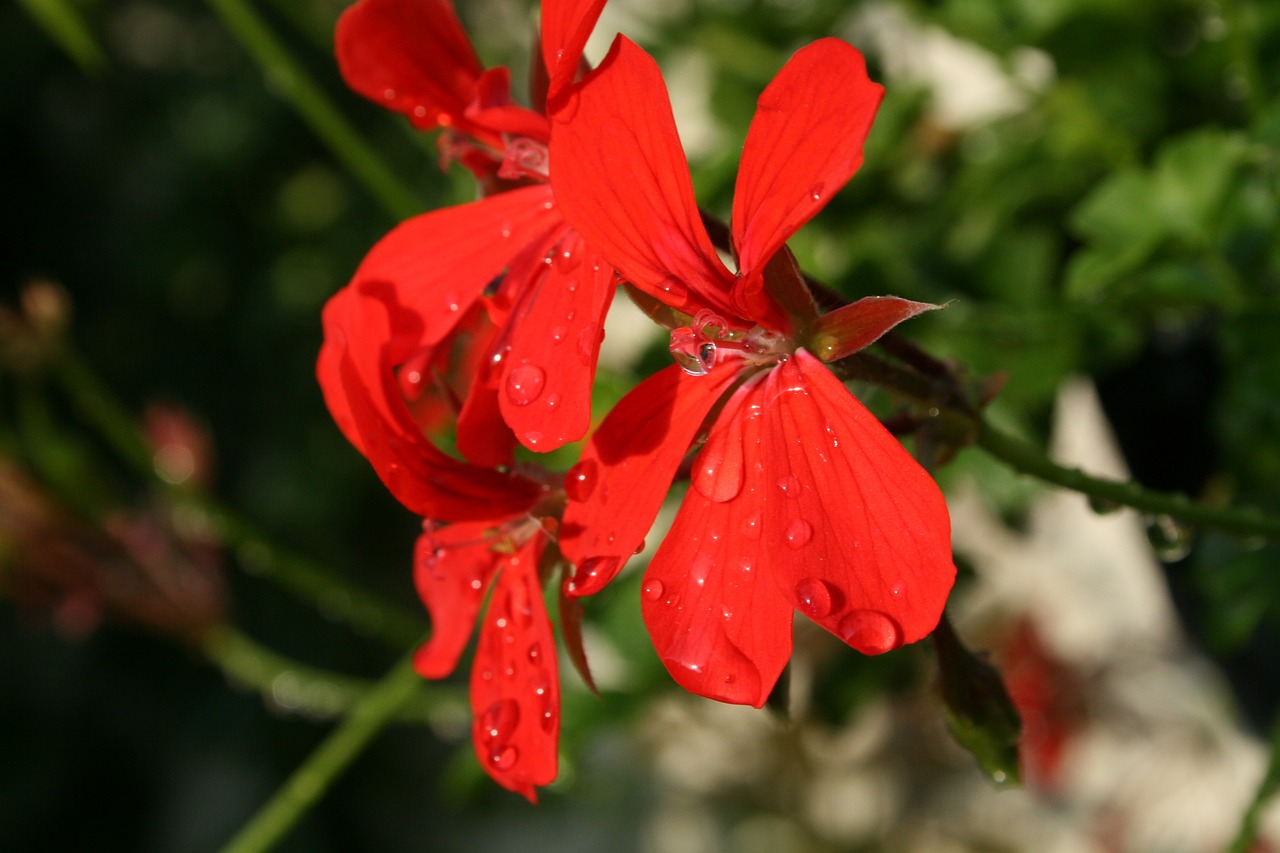 MM商場最新動態,時尚潮流的前沿陣地