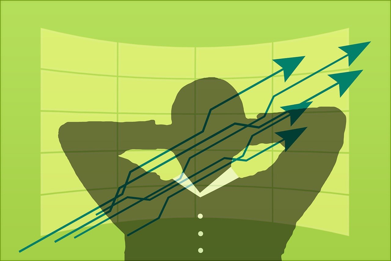 最新油松價格及市場分析概述