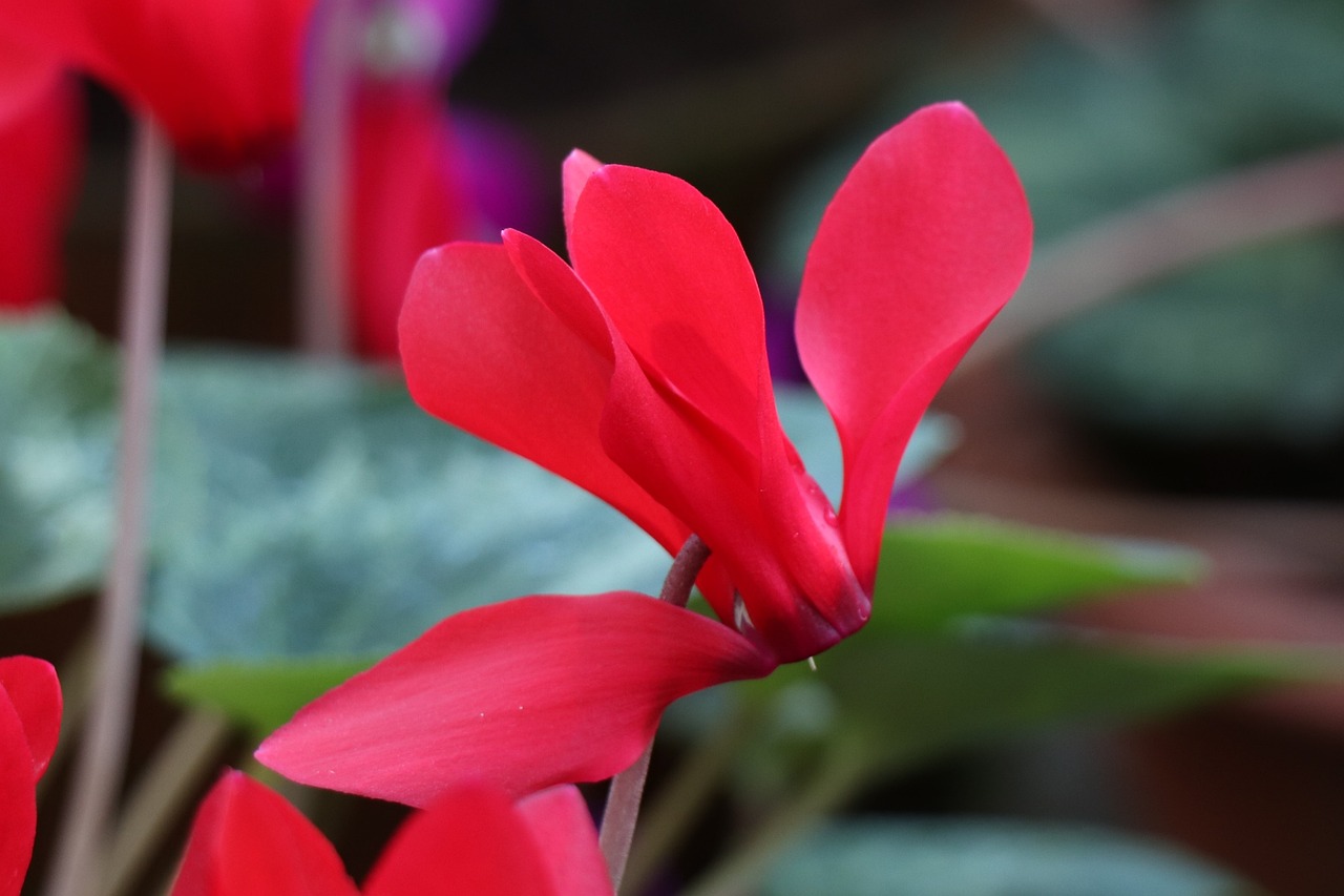 乳源時事熱點新聞速遞,聚焦最新動態,傳遞地方聲音