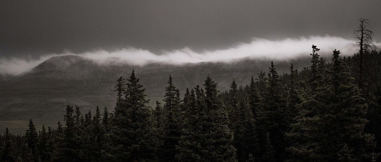 劫最新改動深度解析,影響與探討