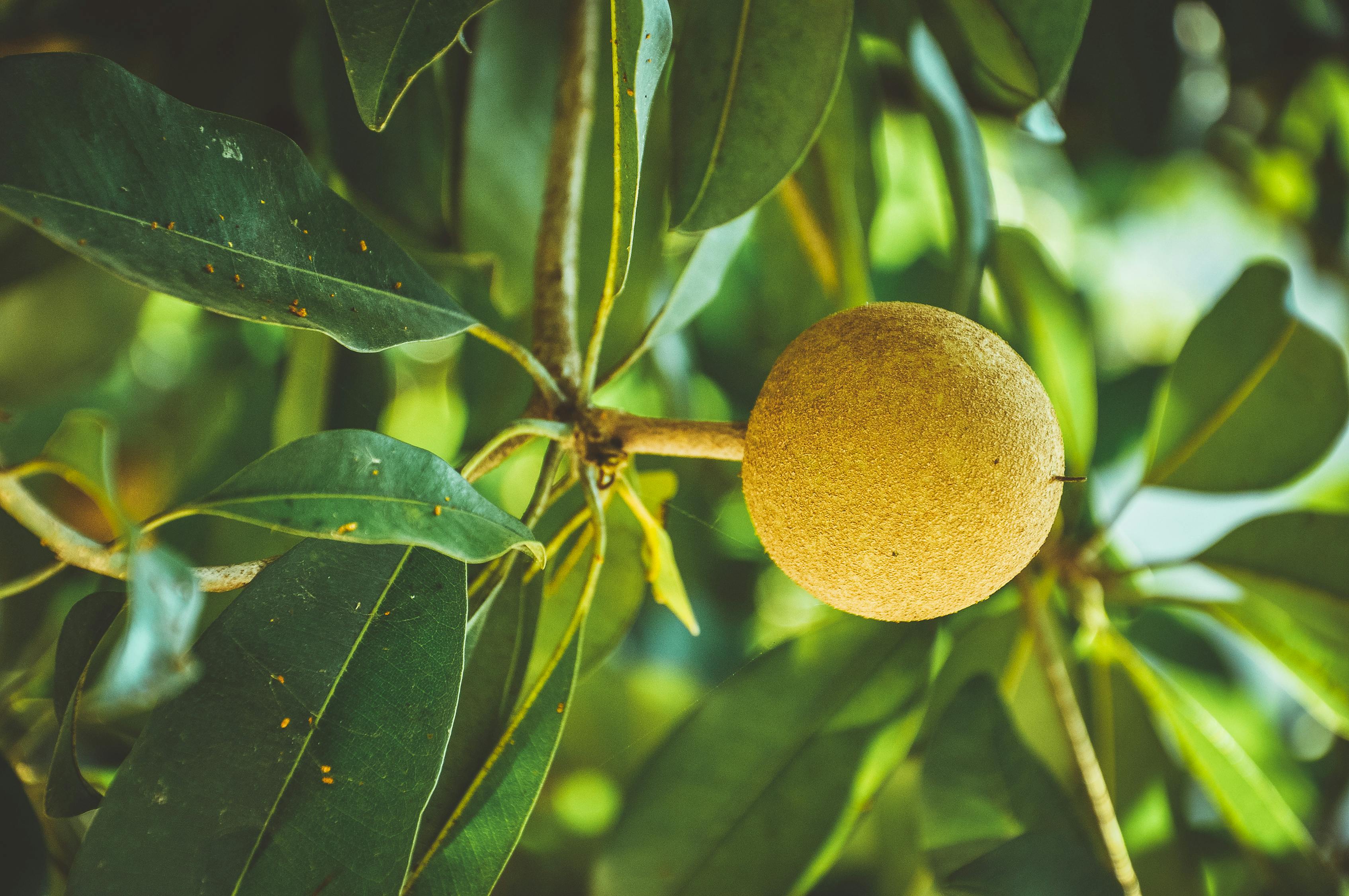 拳擊賽場風(fēng)云再起,最新動態(tài)、熱門選手與未來展望