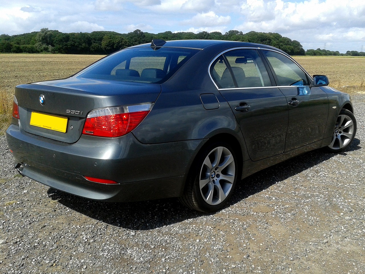 一龍持續突破自我,展現無限潛力最新動態