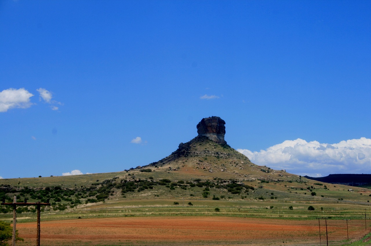 江清洛最新動(dòng)態(tài)與成就,展現(xiàn)獨(dú)特魅力,聚焦時(shí)代焦點(diǎn)