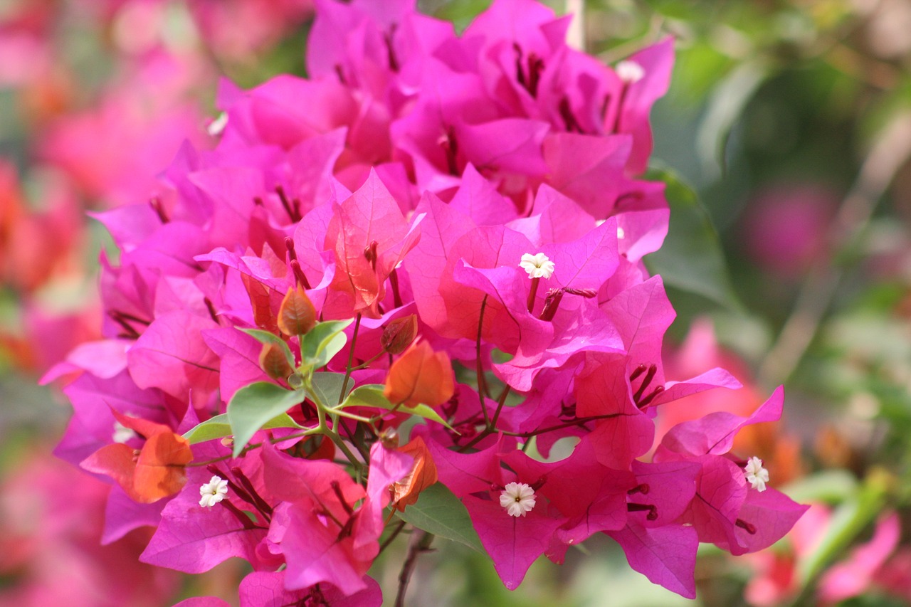 沽源最新招聘動態,崗位更新與影響分析