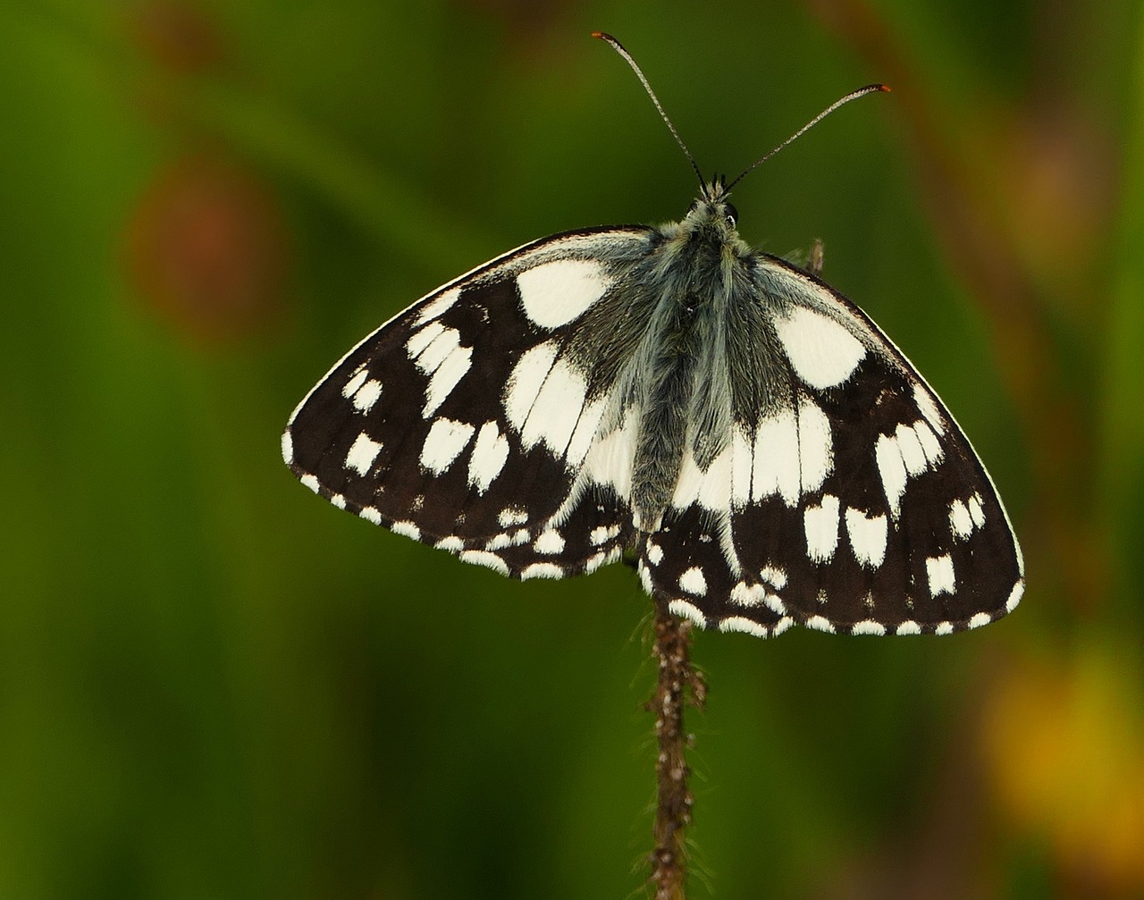 鋁型材最新價(jià)格動(dòng)態(tài)與市場(chǎng)趨勢(shì)深度解析