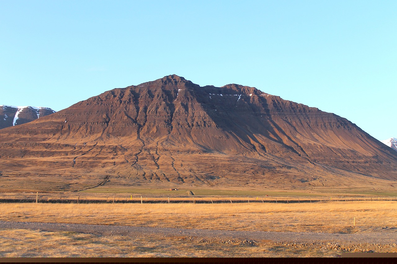 聶存良的最新動(dòng)態(tài)與成就概覽