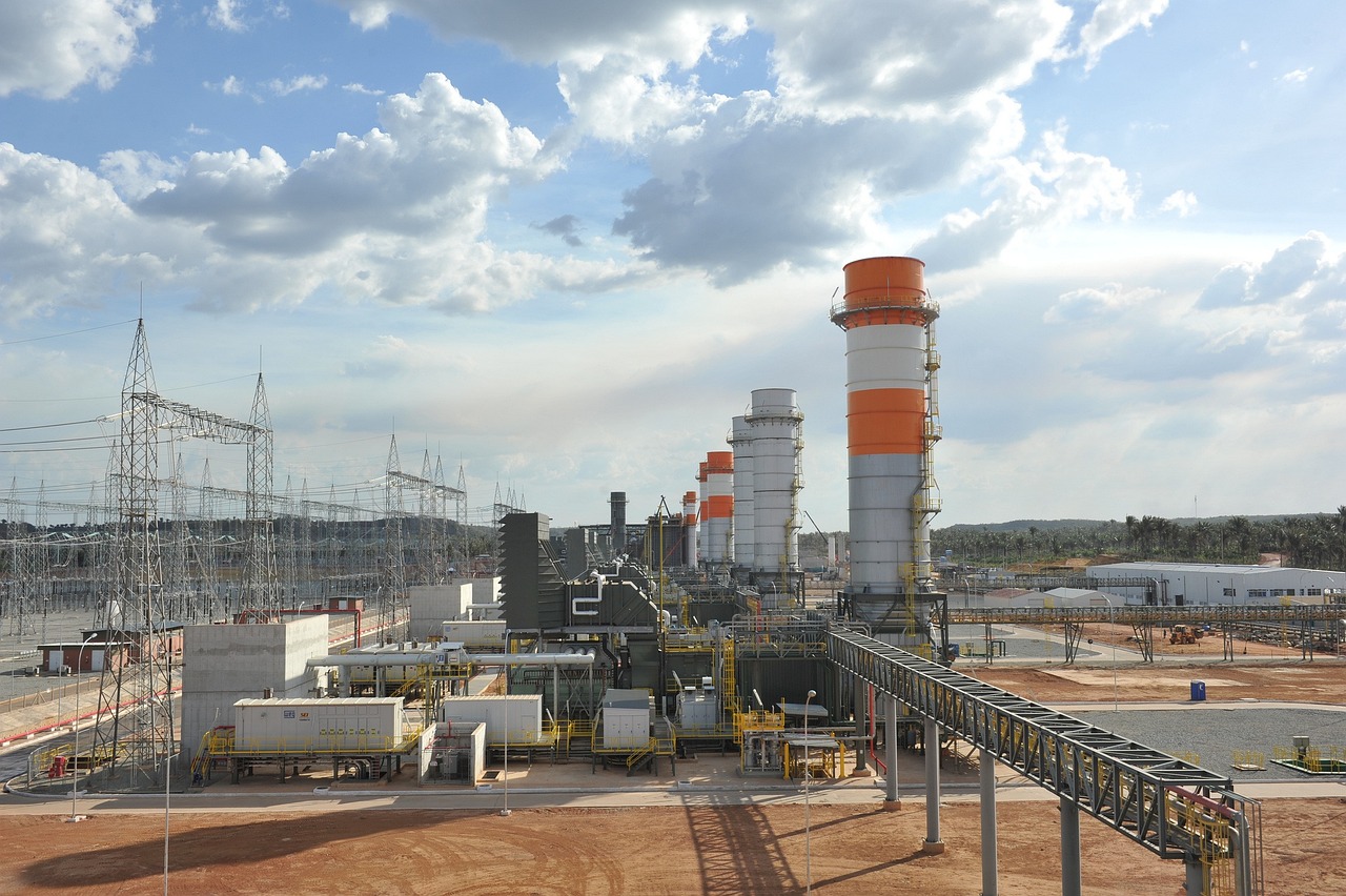 楊梅產業蓬勃發展,最新動態與社會關注焦點