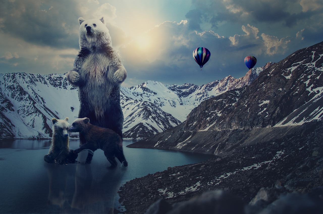 最新奔跑吧誰是兇手,懸疑與娛樂的完美融合之旅!