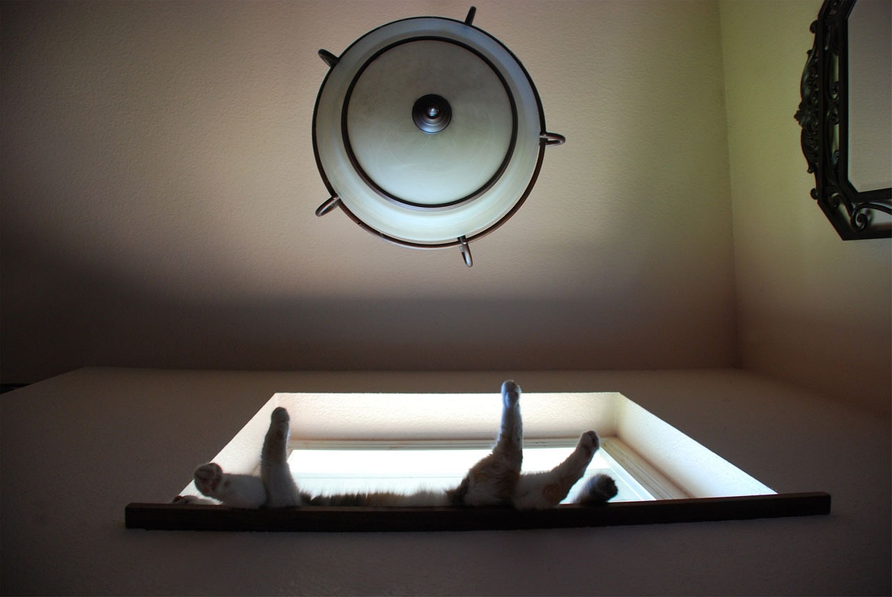 濰坊軒逸最新報價及動態,選擇最佳購車時機全攻略