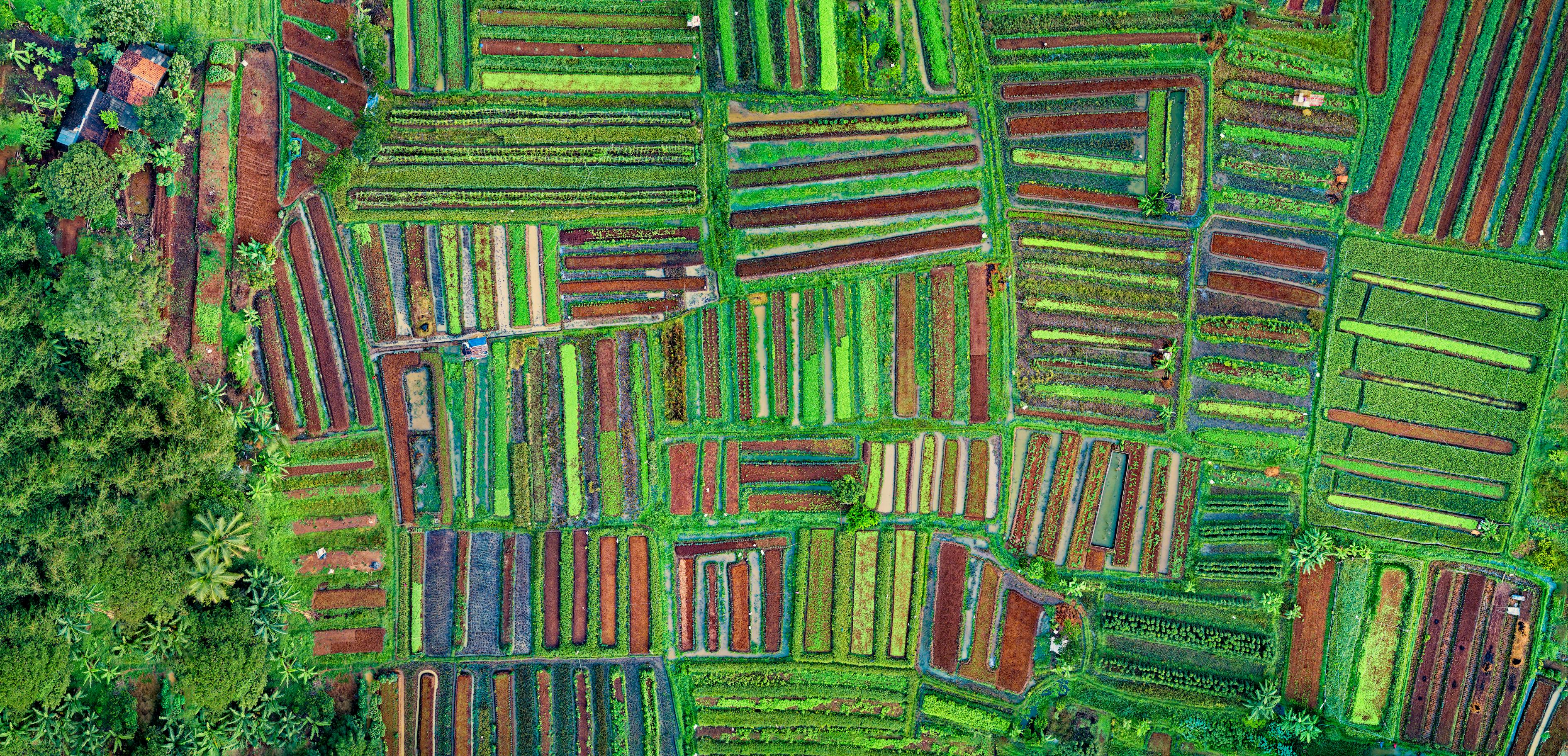 保亭最新樓盤,熱帶風情生活藝術的品味之選