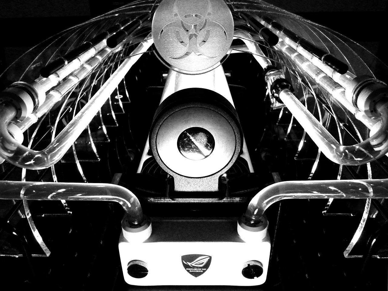 信豐最新消息全面解讀,最新動態與報道匯總