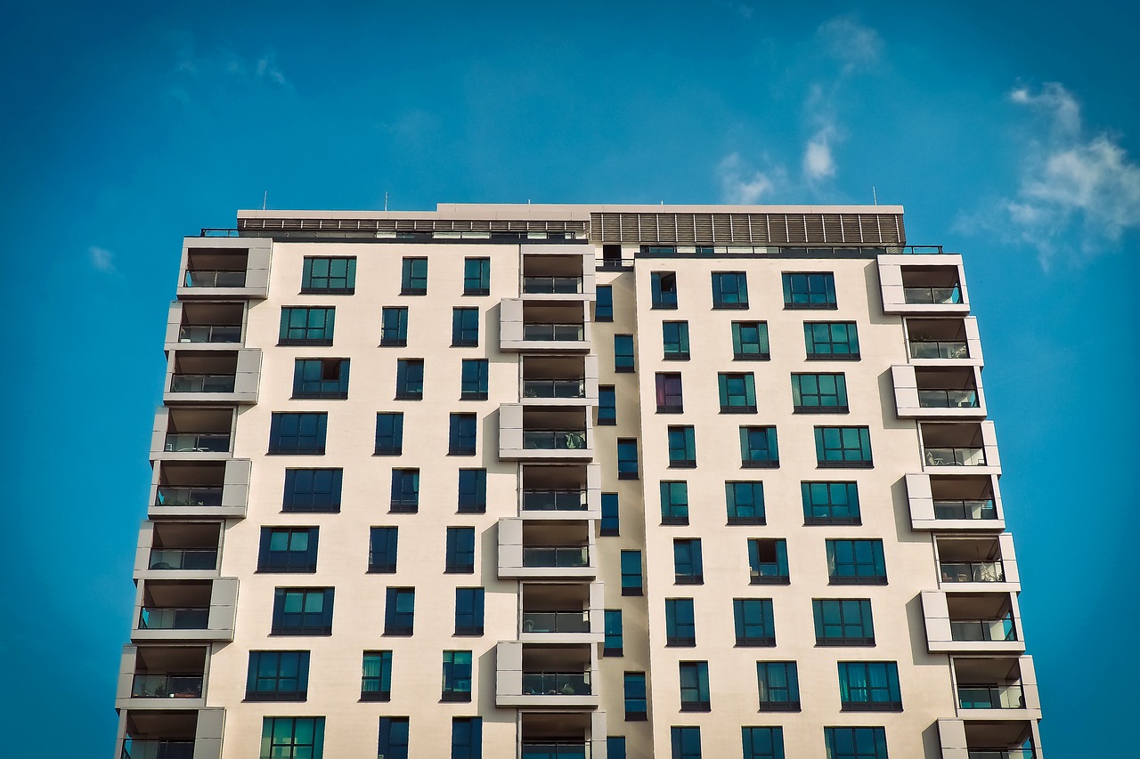 重慶專車最新動(dòng)態(tài),行業(yè)變革與未來展望