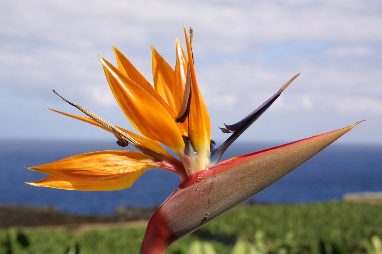 王靖最新動(dòng)態(tài),展現(xiàn)卓越領(lǐng)導(dǎo)力與潛力的持續(xù)閃耀