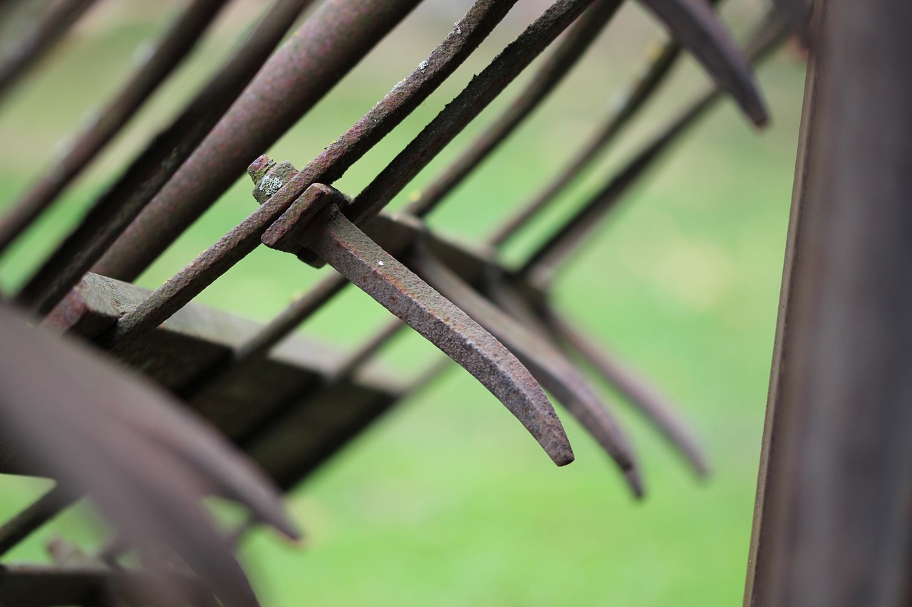 阜陽阜合園區蓬勃發展揭秘,最新動態與產業新城展望