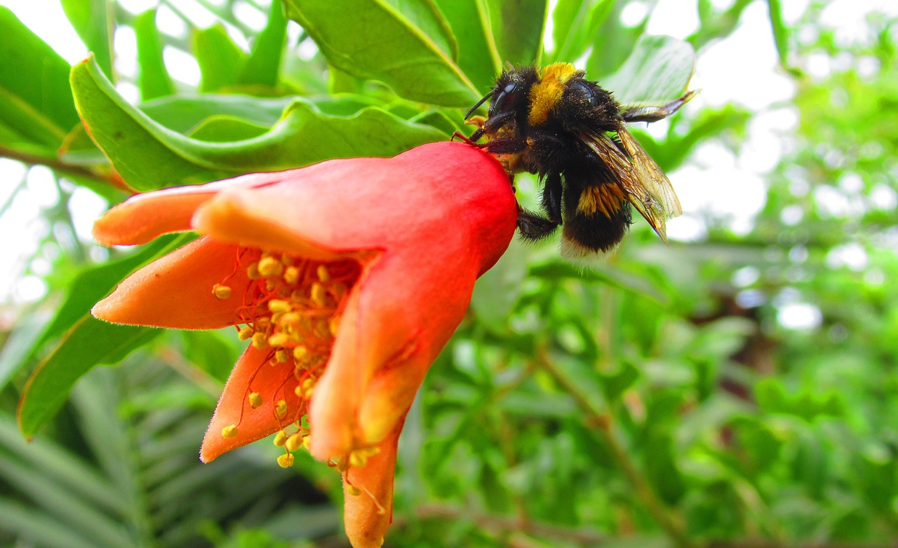 肥西春景花園最新房價概覽與動態分析