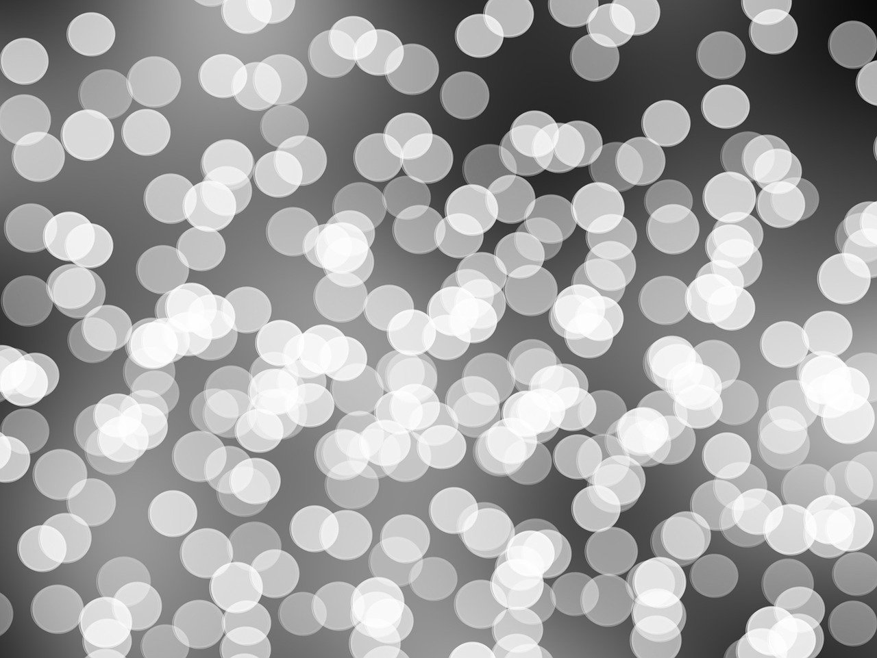 金南珠,珠寶界新星璀璨閃耀,最新動態揭秘