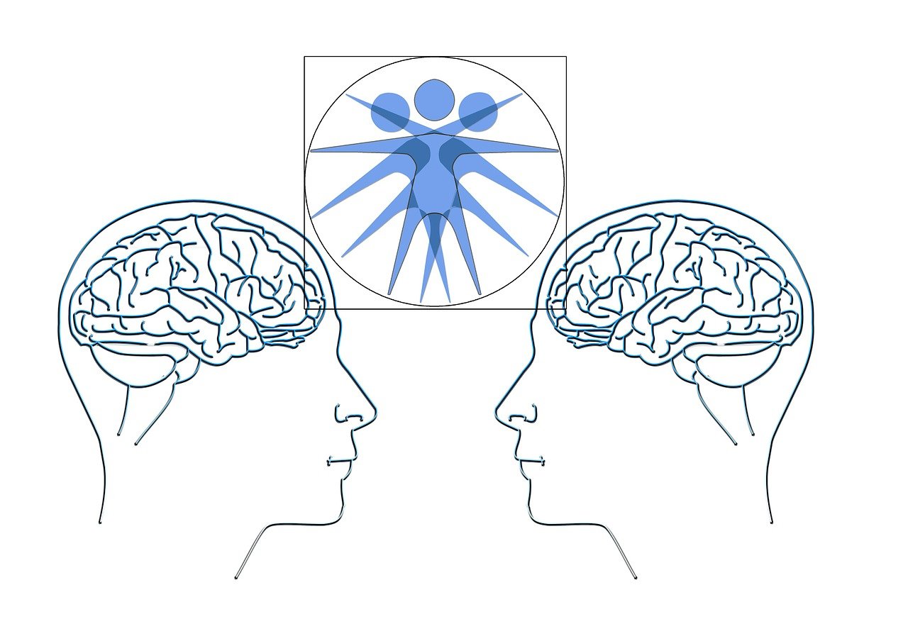 樂視會員共享賬號最新動態解析與探討