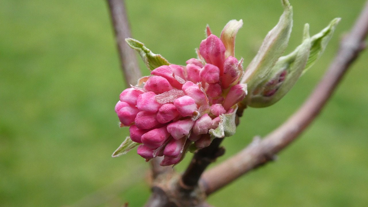 醫保整合最新動態,全面整合步伐加快,前景展望引人關注