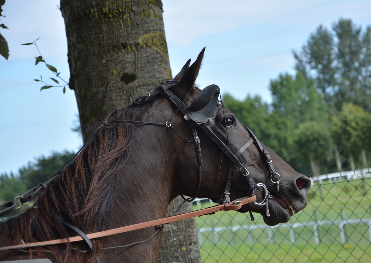 全球聯手打擊跨國電信詐騙犯罪浪潮的最新動態(tài)