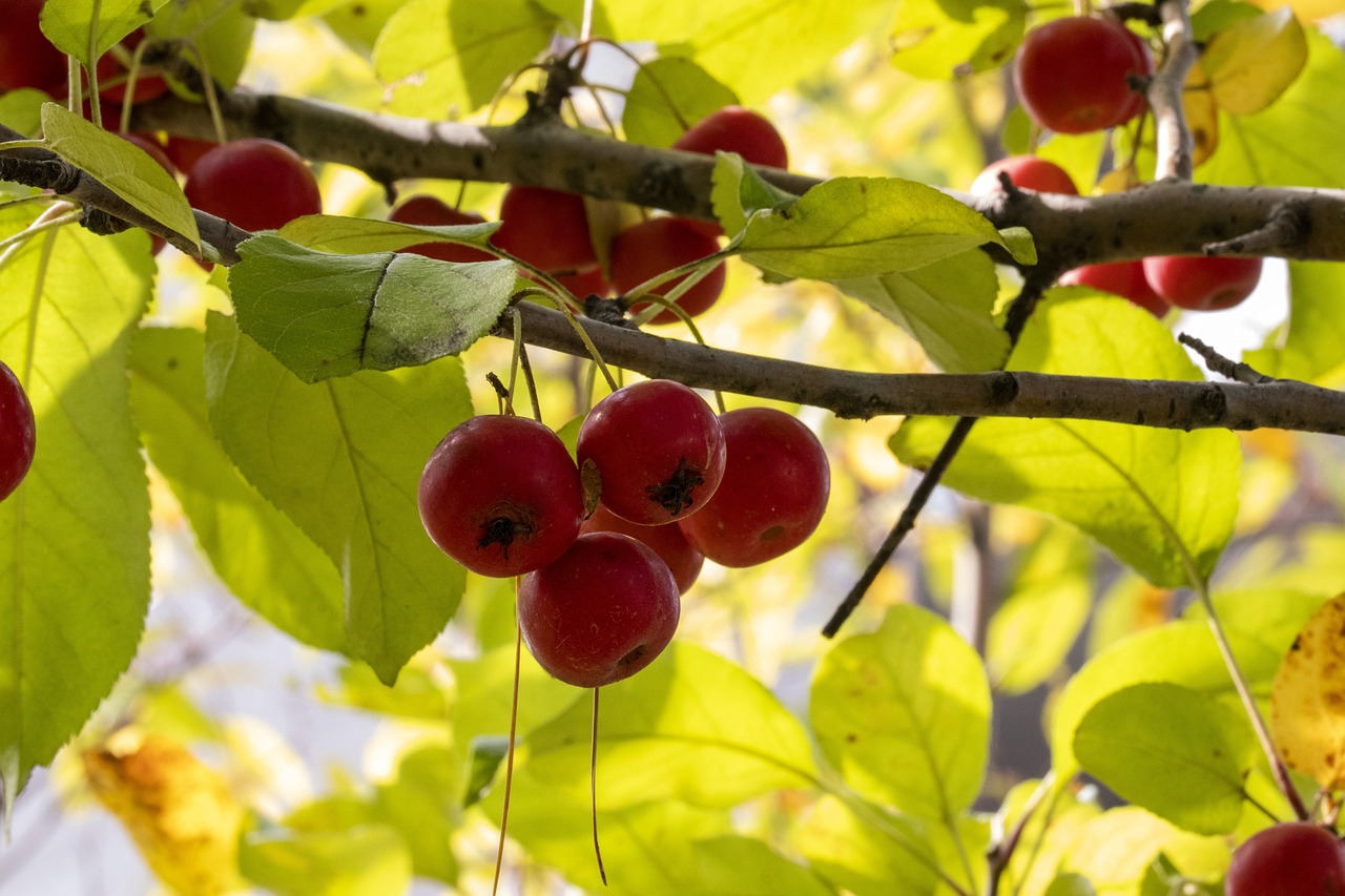 五家渠最新房?jī)r(jià)動(dòng)態(tài)及深度分析