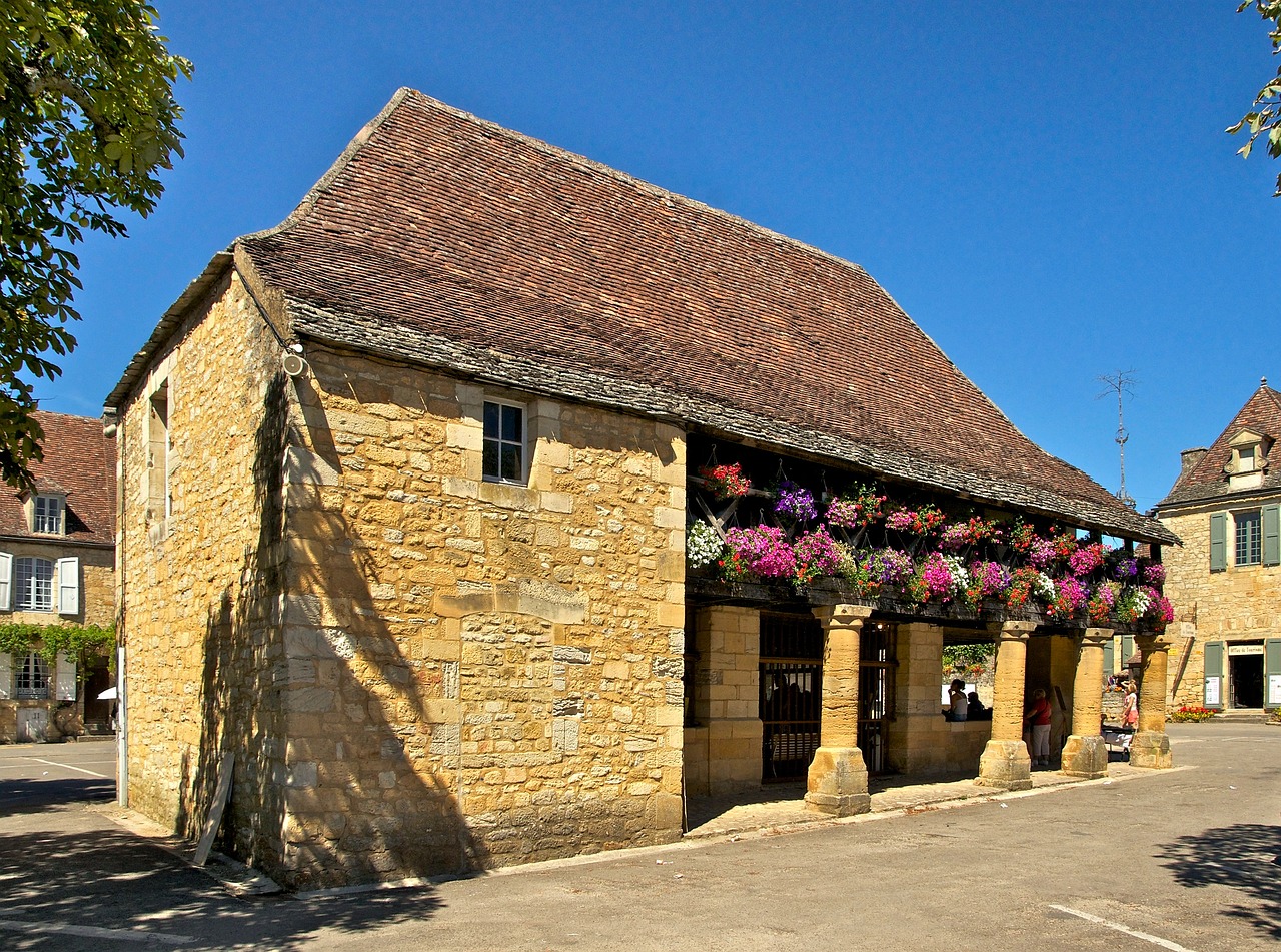 順風(fēng)清潔能源引領(lǐng)清潔能源革命的新動(dòng)態(tài)揭秘